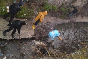 Αθήνα: Έσωσαν τα ζώα από το ρέμα στον Βοτανικό